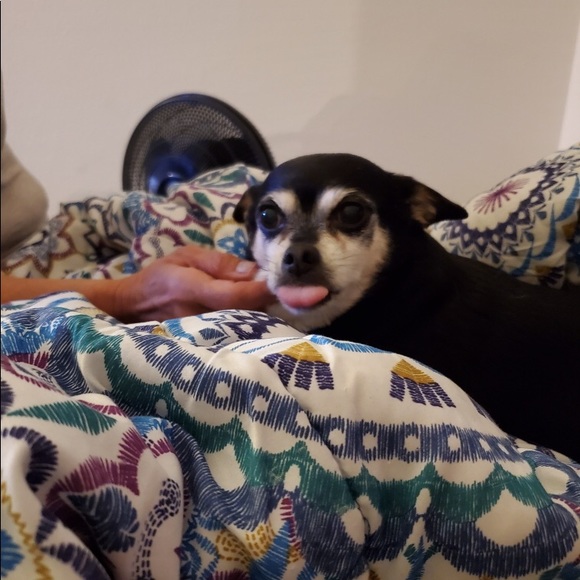 Hello! I’m Zoraida, a Posh Ambassador & Mentor - Picture 4 of 16